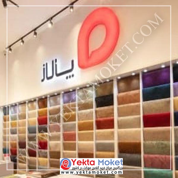 نمایندگی پالاز در بهارستان