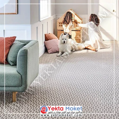 موکت بادوام